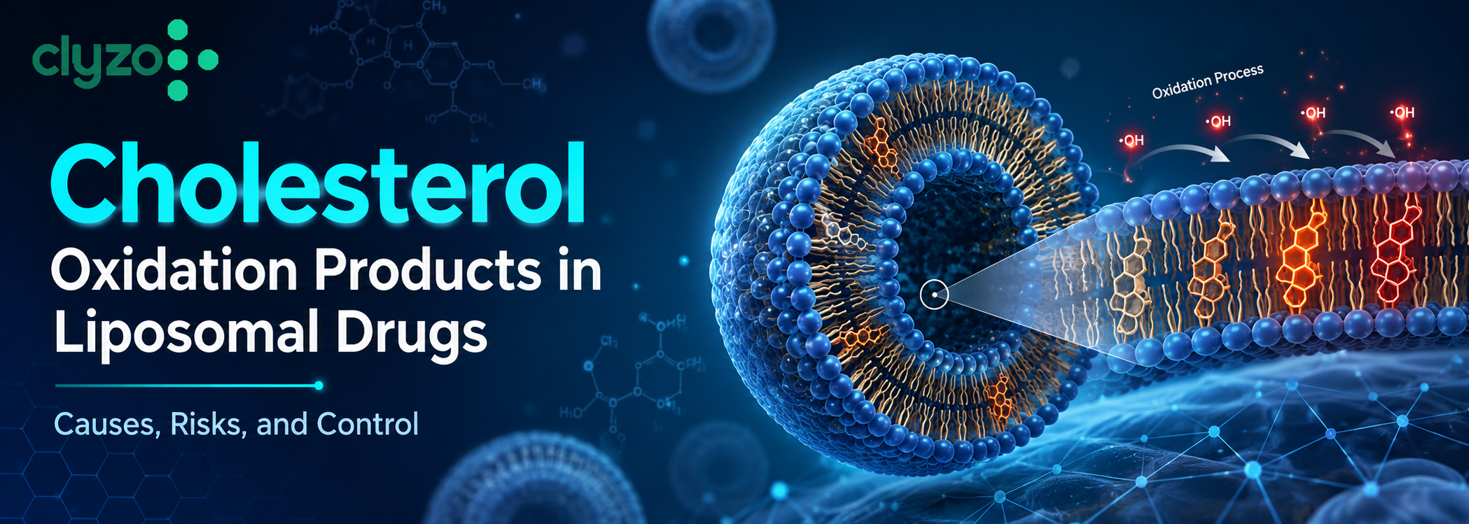 Cholesterol Oxidation Products in Liposomal Drugs: Causes, Risks, and Control